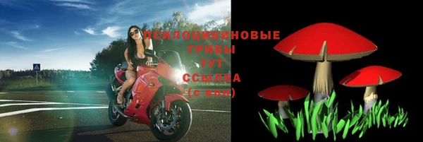 соль ск Снежногорск