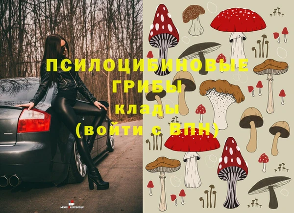 соль ск Снежногорск