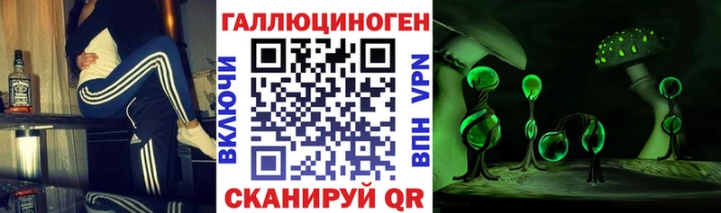 Галлюциногенные грибы MAGIC MUSHROOMS  Купить закладки  Махачкала 