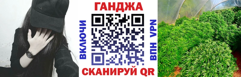 Бошки марихуана THC 21%  Купить закладки  Махачкала 